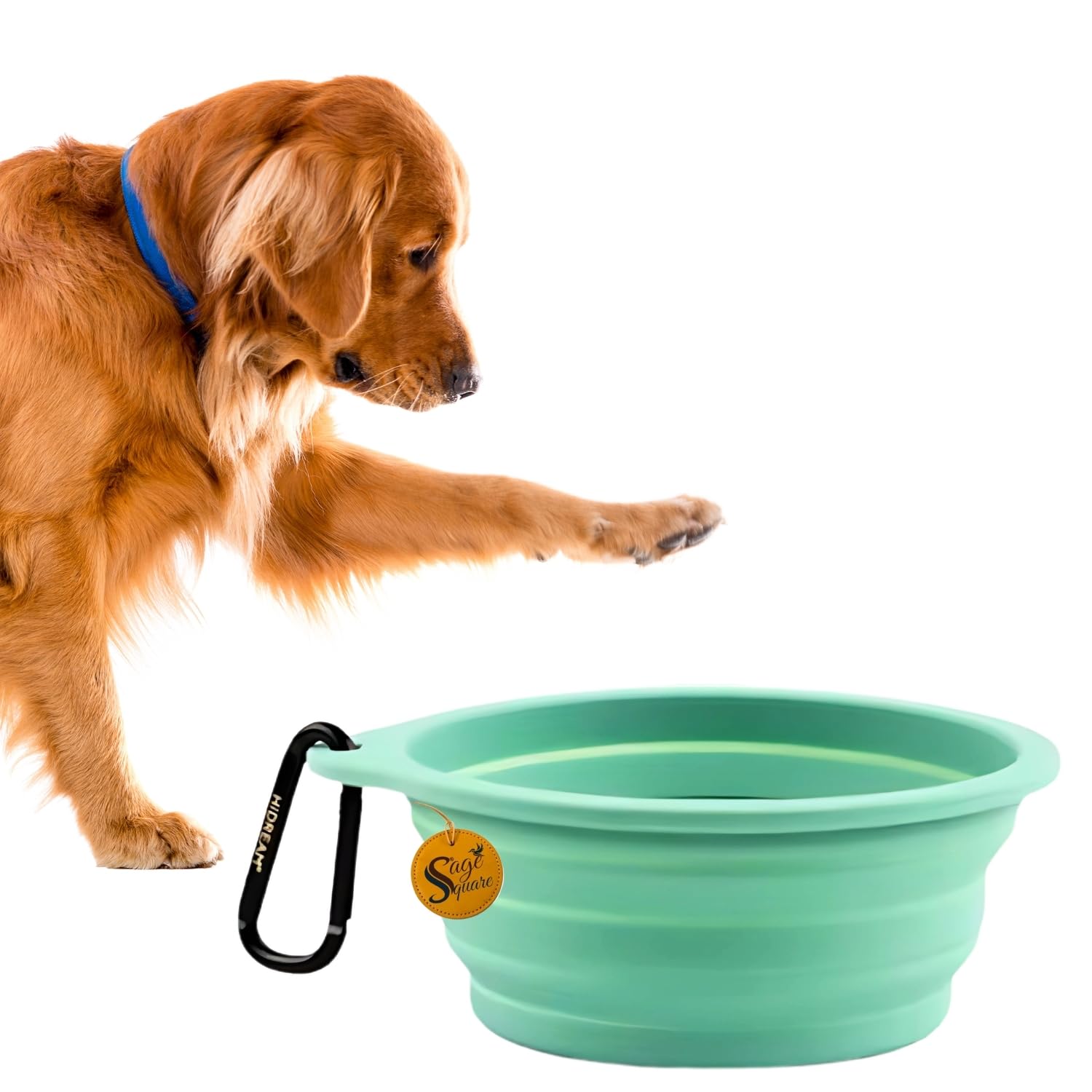 Sage Square Travel Foldable Bowl For Dogs & Cats | Portable Pet Food & Water Bowl For Outdoor Walks, Hikes, Road Trips & Travel 