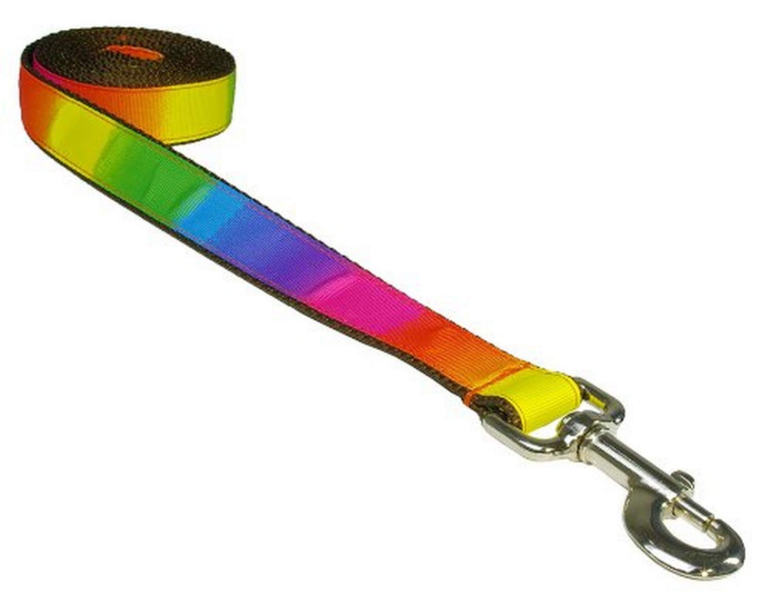 Medium Rainbow Dog Leash: 3/4 Wide, 6ft Length - Made in USA.