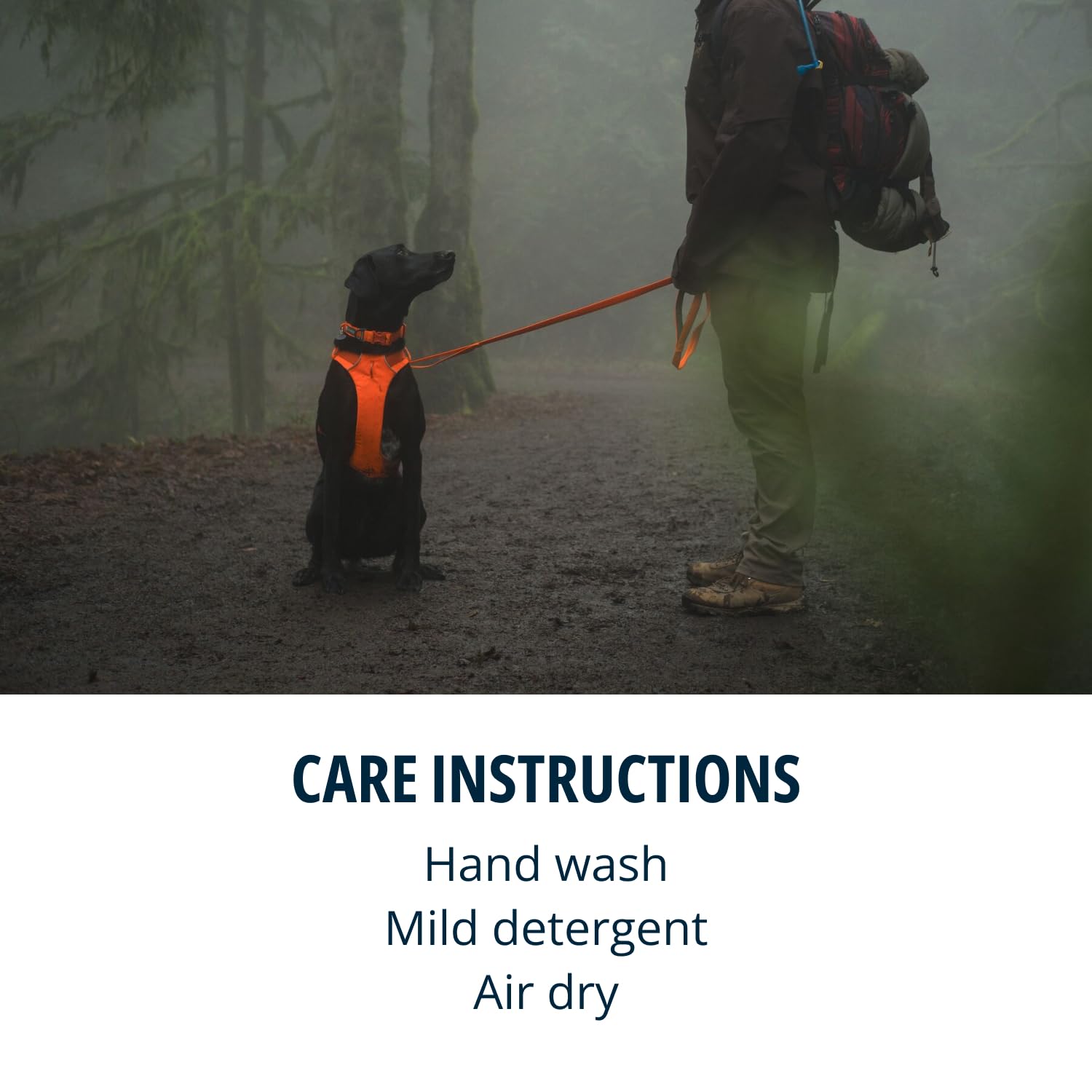 Ruffwear, Front Range Dog Leash, 5 Ft Lead With Padded Handle For Everyday Walking, Blaze Orange