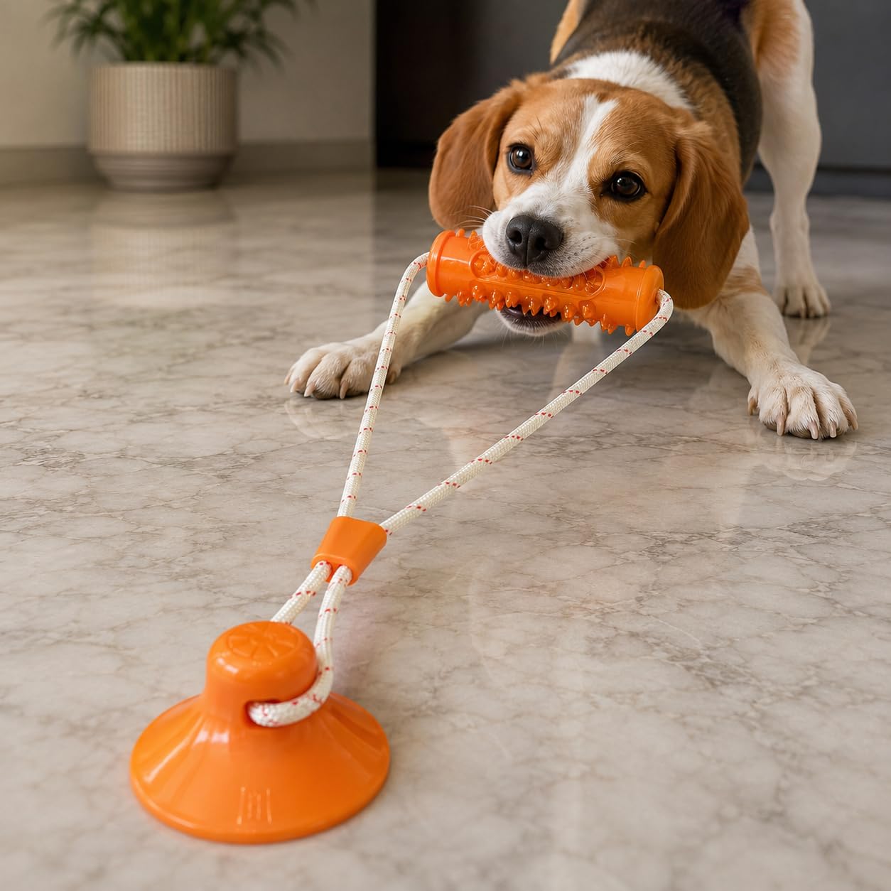 Petpals Bite & Pull Dog Toy With Suction Cup | 2In1 Chew & Tug Toy For Dogs | Exercise Toy For Dog