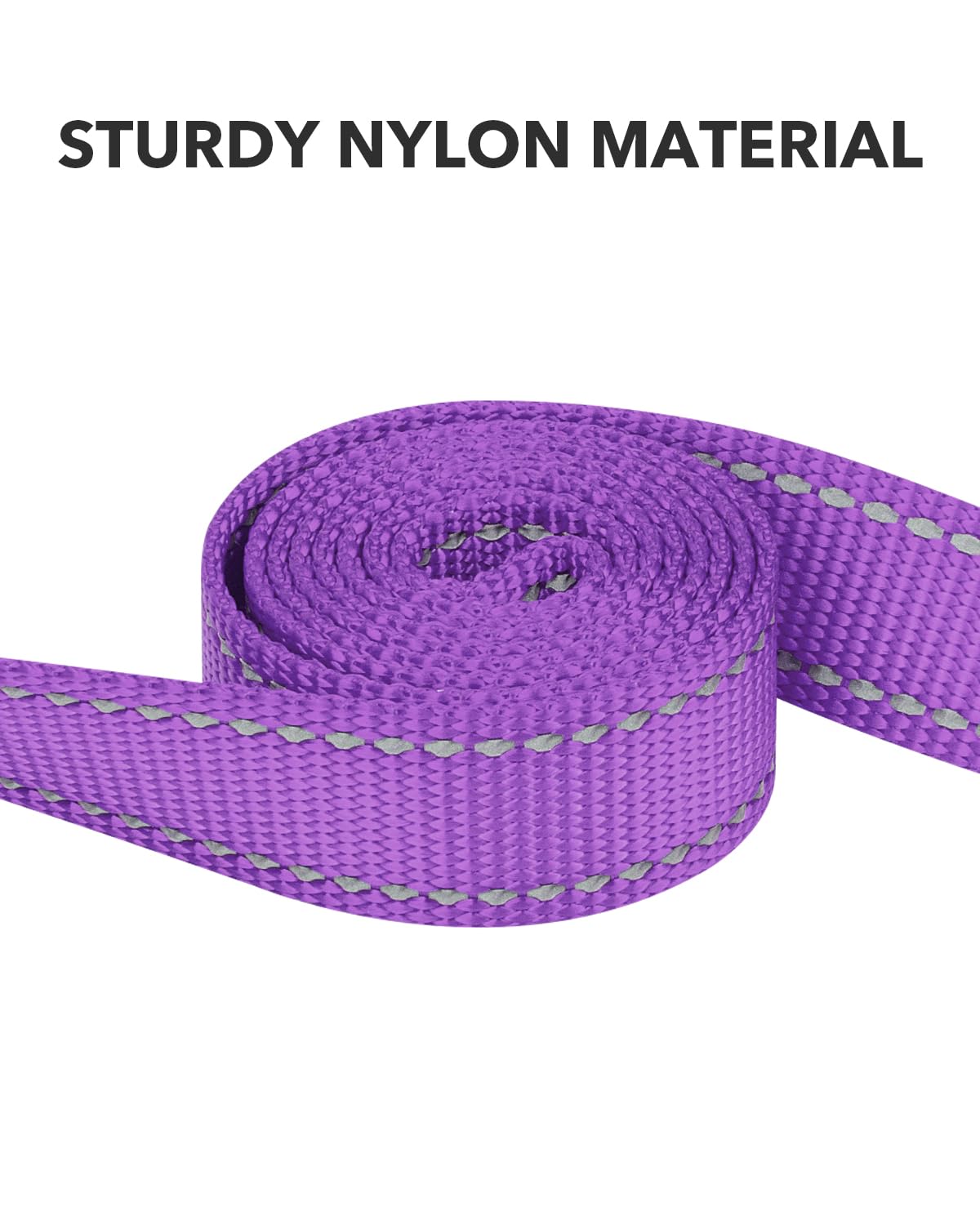 Taglory Nylon Dog Leash 6Ft, Soft Padded Handle Pet Reflective Leashes For Puppy Small Medium Dogs Walking & Training, Purple