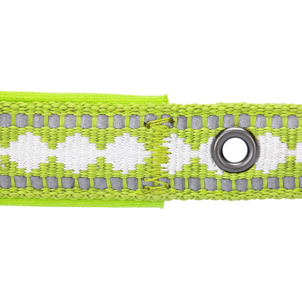 Blueberry Pet Soft & Safe 3M Reflective Jacquard Neoprene Padded Adjustable Dog Collar With Metal Buckle - Macaw Green, Neck 13-
