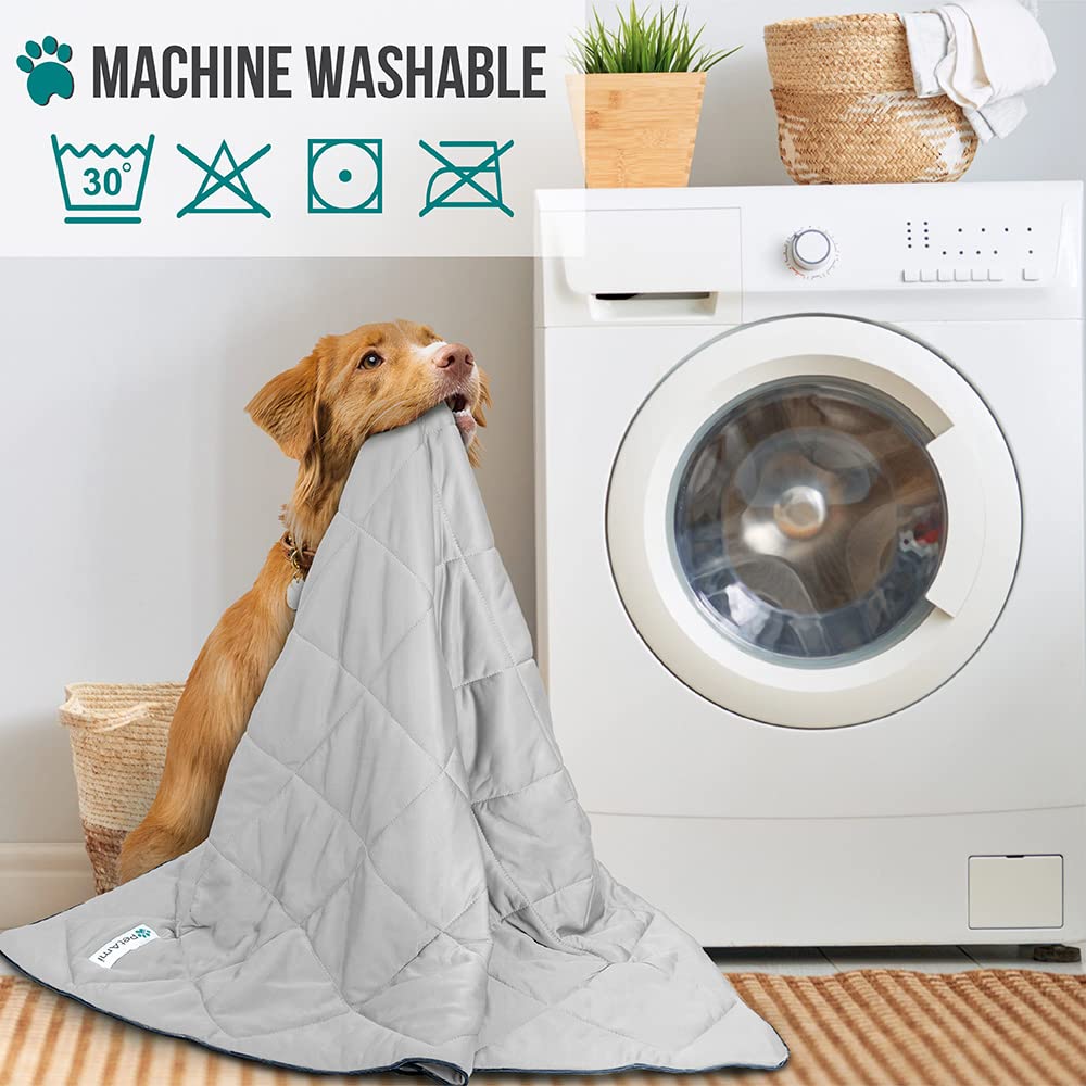 Petami Premium Cooling Dog Blanket | Lightweight Fluffy Pet Throw Blanket Bed Cover For Dogs, Cat, Puppies | Pet Blanket Furniture Protector Couch Sofa | Reversible Fuzzy Cozy | 40X60, Light Grey