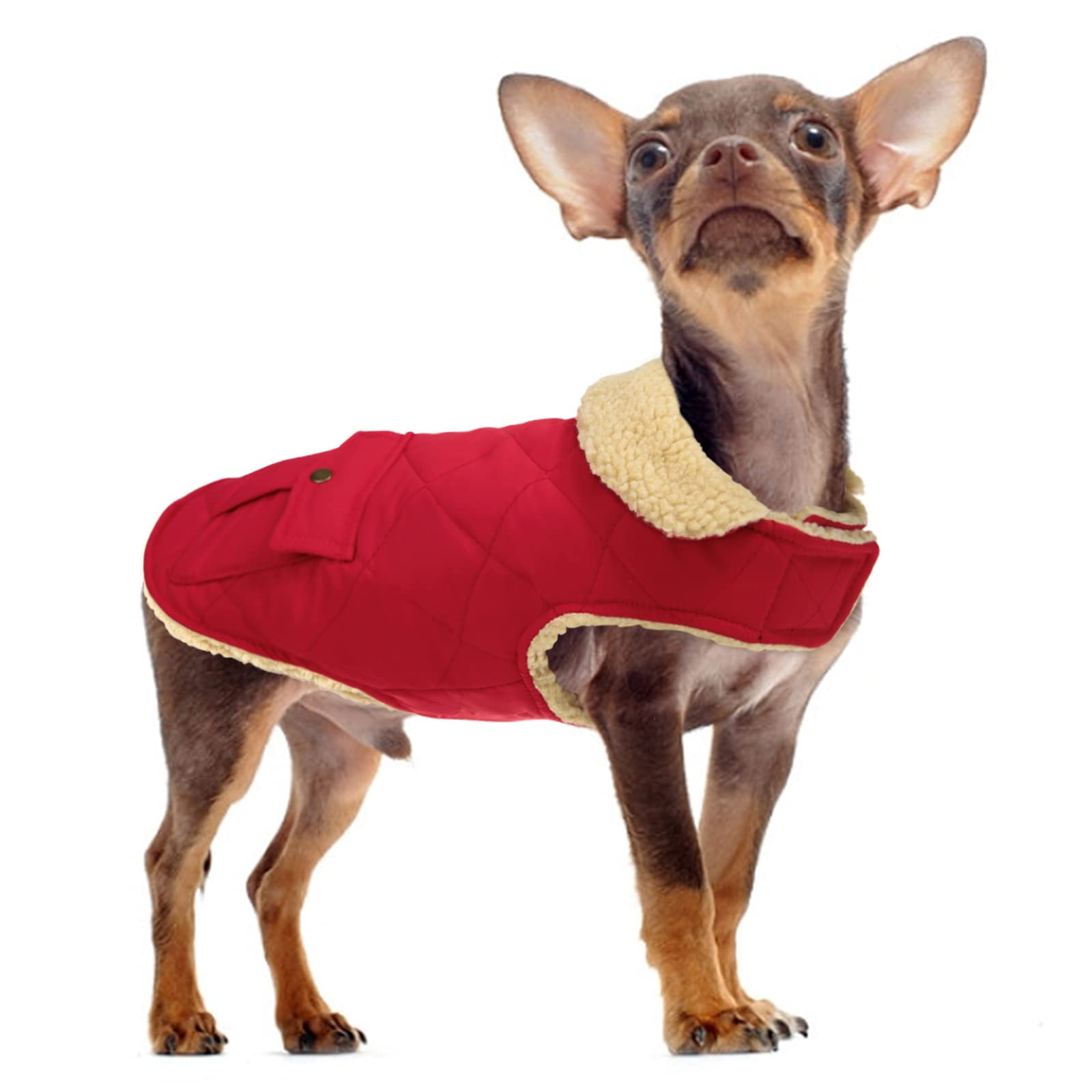 Queenmore Warm Dog Coat, Cold Weather Puffer Dog Coat, Quilting Winter Dog Jacket Ultra Thick Plush Lining With Storage Pockets (Red, X-Small)