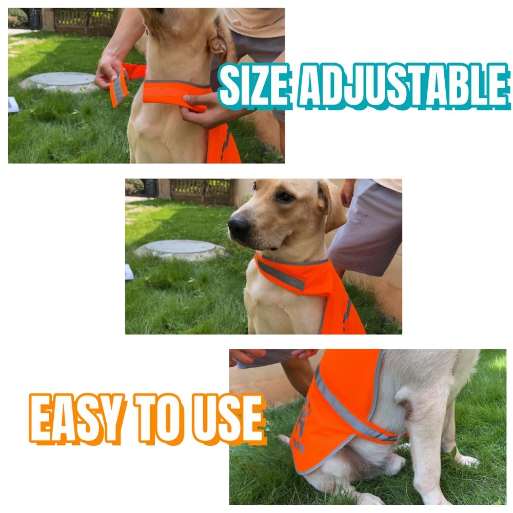 Idou 2 Pieces Orange Reflective Dog Safety Vest - High Visibility For Walking, Jogging & Training - Size M