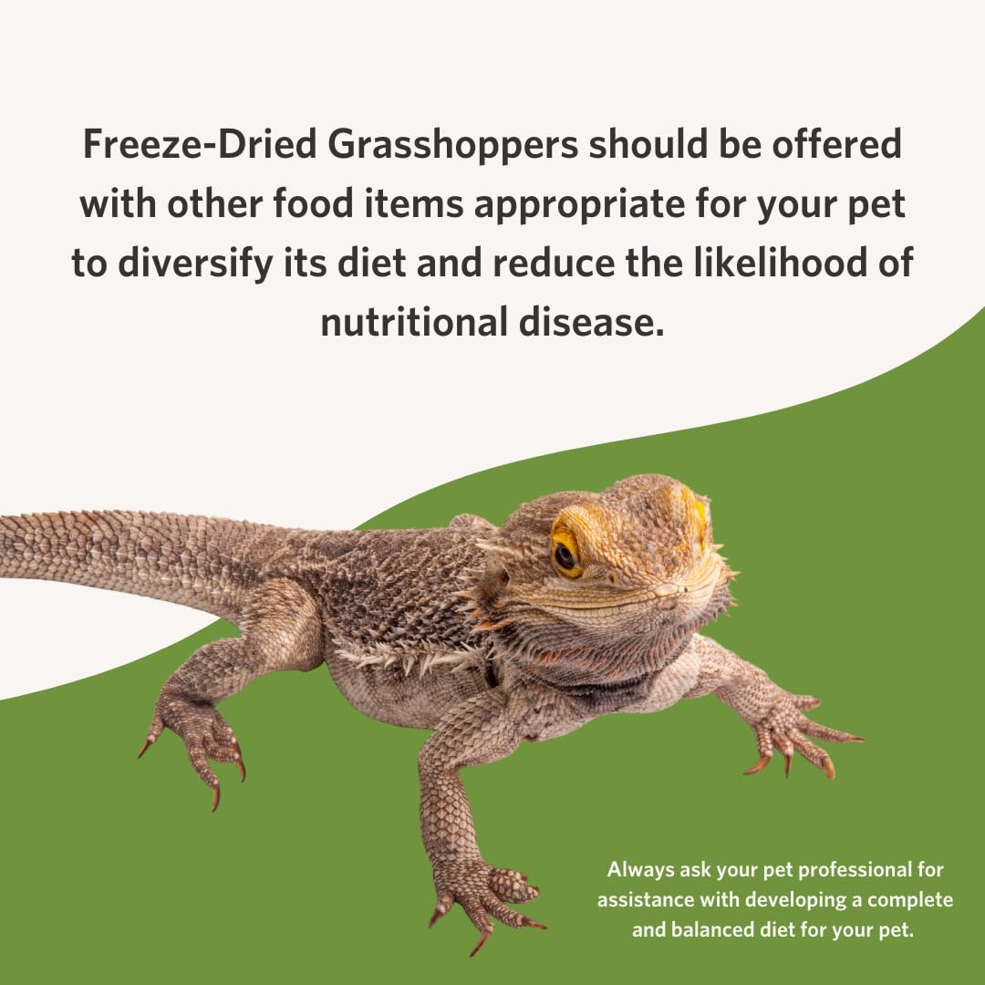 Fluker's Freeze Dried Grasshoppers for Reptiles, Packed with Protein and Essential Nutrients, 1 lb. Value Pack
