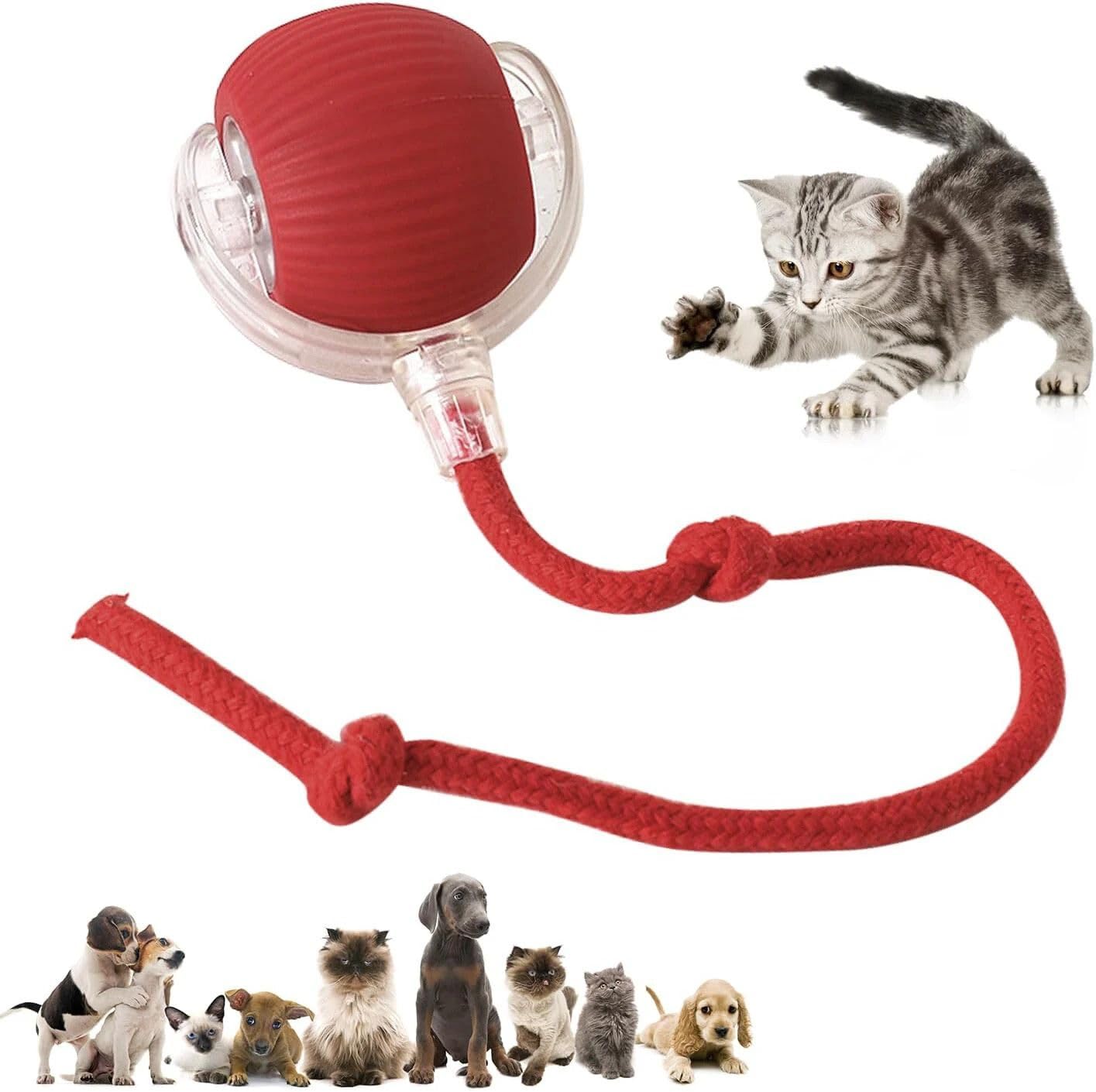 Agirav Youhavedeal Rope Toys For Puppies & Small Dogs Toys | Rope Ball Toy |