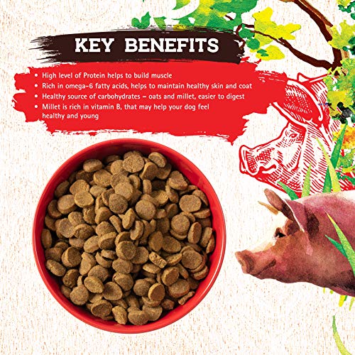 Inception Dry Dog Food Pork Recipe - Complete and Balanced Dog Food - Meat First Legume Free Dry Dog Food - 4 lb. Bag