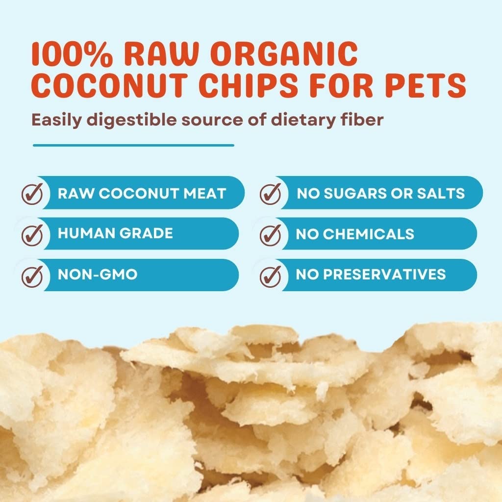 CocoTherapy Coconut Chips - 6 oz (3 Pack) - Healthy Snack, All-Natural, Gluten-Free