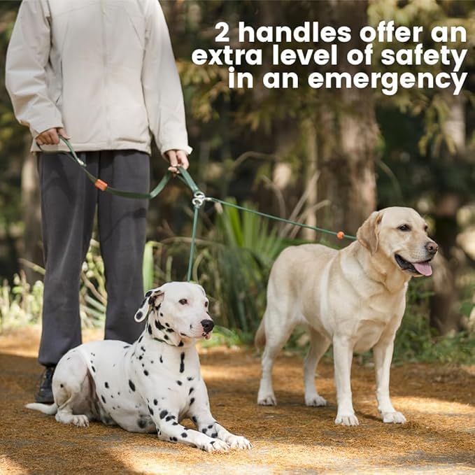 Howgo Double Slip Leash Slip Lead | Dual Dog Lead For 2 Dogs,360 Swivel No Tangle | Dog Training Nylon Leash And Collar | Double
