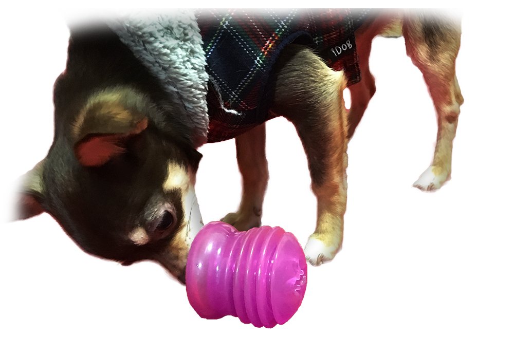 Starmark Everlasting Treat Groovy Ball Small
