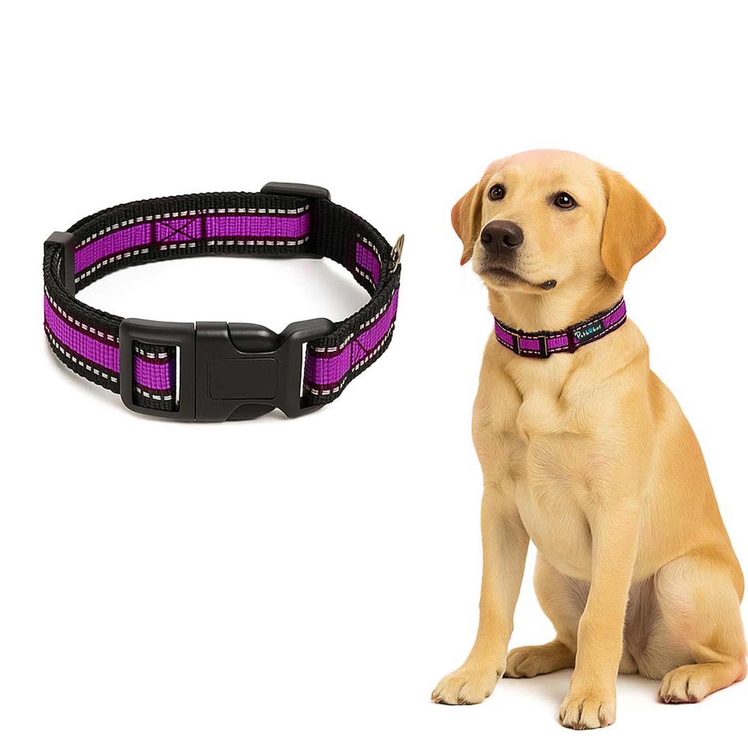 Petbabas Reflective Adjustable Pet Collar For Dogs And Cats  Durable Nylon Strap With HeavyDuty Buckle | Comfortable And Safe 