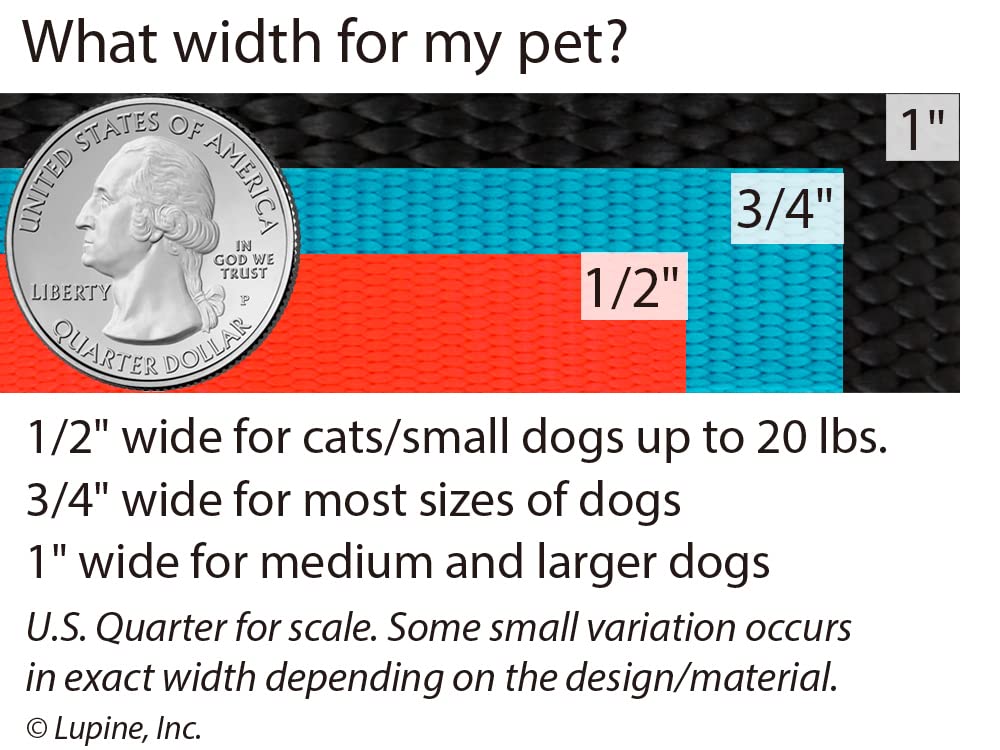 LupinePet Basics 1/2 Black 4-foot Padded Handle Leash for Small Pets