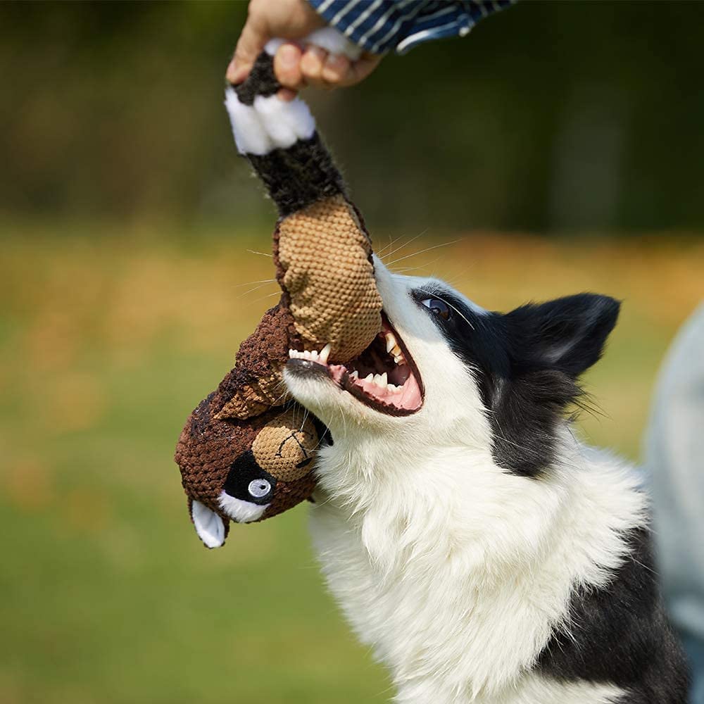 Dog Toy Plush Durable Small Dog Toys Low Stuffing Interactive Dog Plush Toys W/Squeaker Puppy Chew Toys Reduces Boredom (Medium,