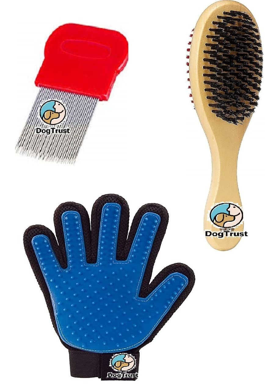 Dog Trust Grooming Kit  Pack Of Blue Slicker Glove| Double Side Comb| Grooming Cum Brush  Color May Vary