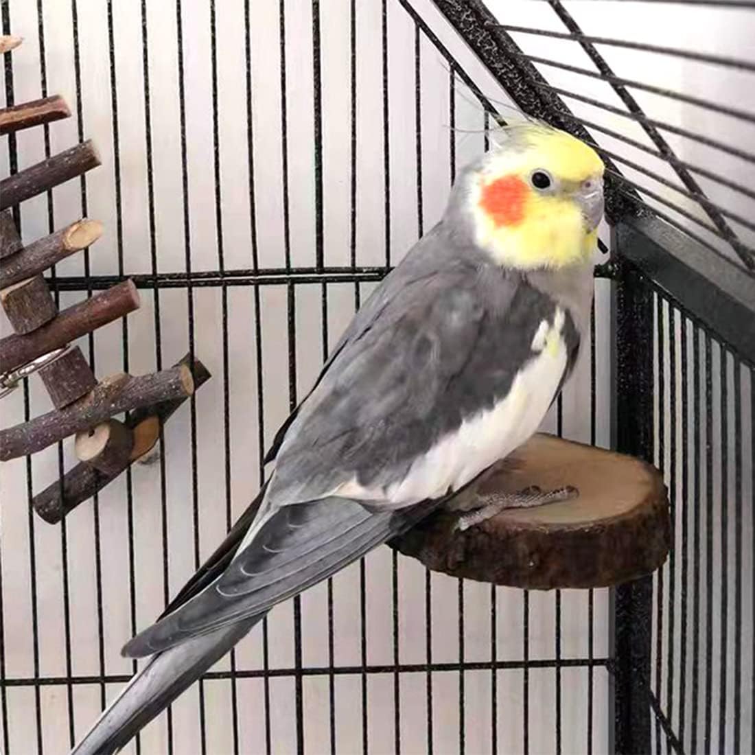 Hamiledyi Perch Platform For Bird Cage,Natural Round Wooden Stand Platform Bird Toy For Canary Parakeet Cockatiel Parrot Budgie