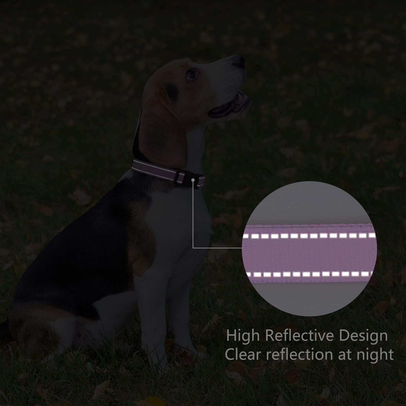 Penseepet Reflective Dog Collar Padded With Soft Neoprene Breathable Quick Release Basic Dog Collars For Medium Large Dogs Laven