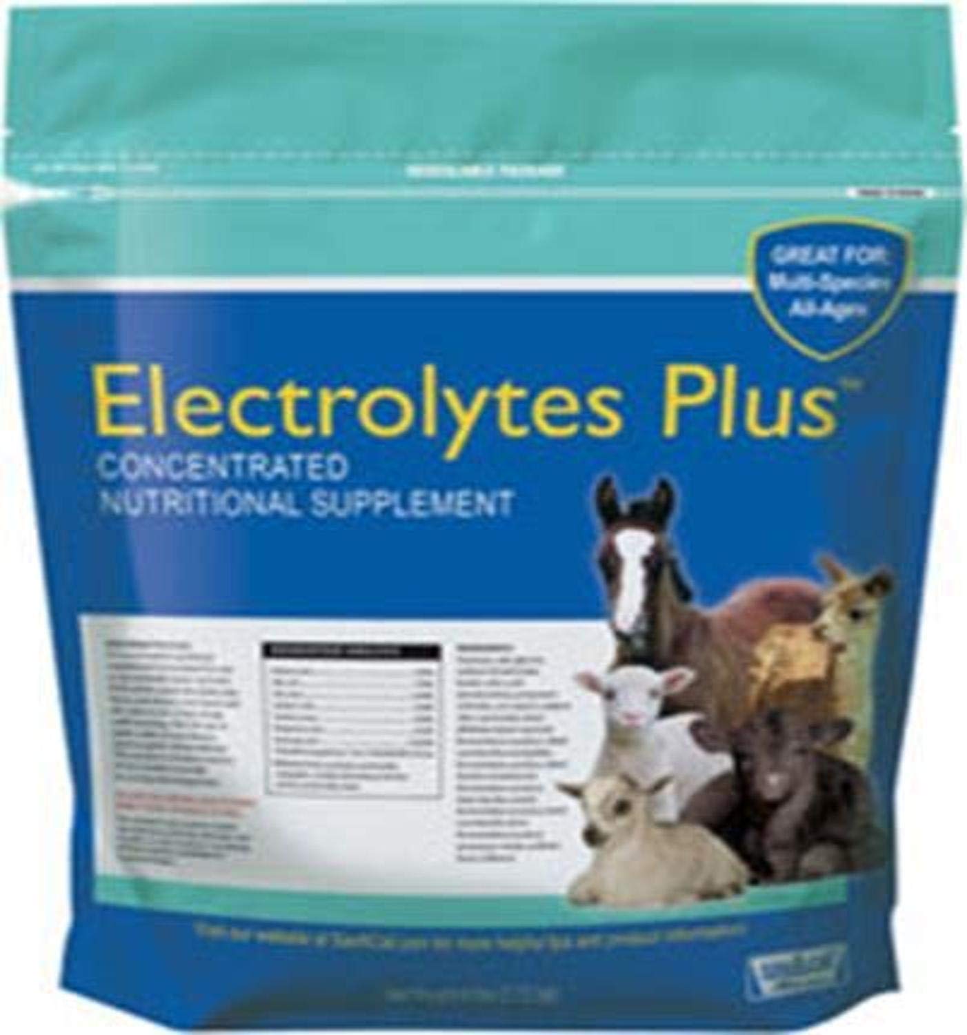Sav-a-Caf Electrolytes Plus Supplement | 6 Pound (6 LB) Bag