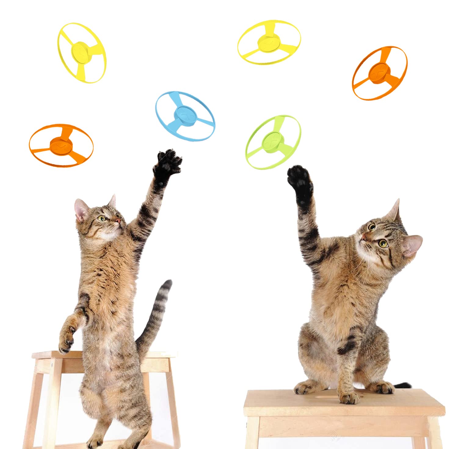 Iaxsee 15 Pieces Cat Fetch Toy With Colorful Flying Propellers Set, Cat Playing Tracking Interactive Toys For Kitten Chasing Tra