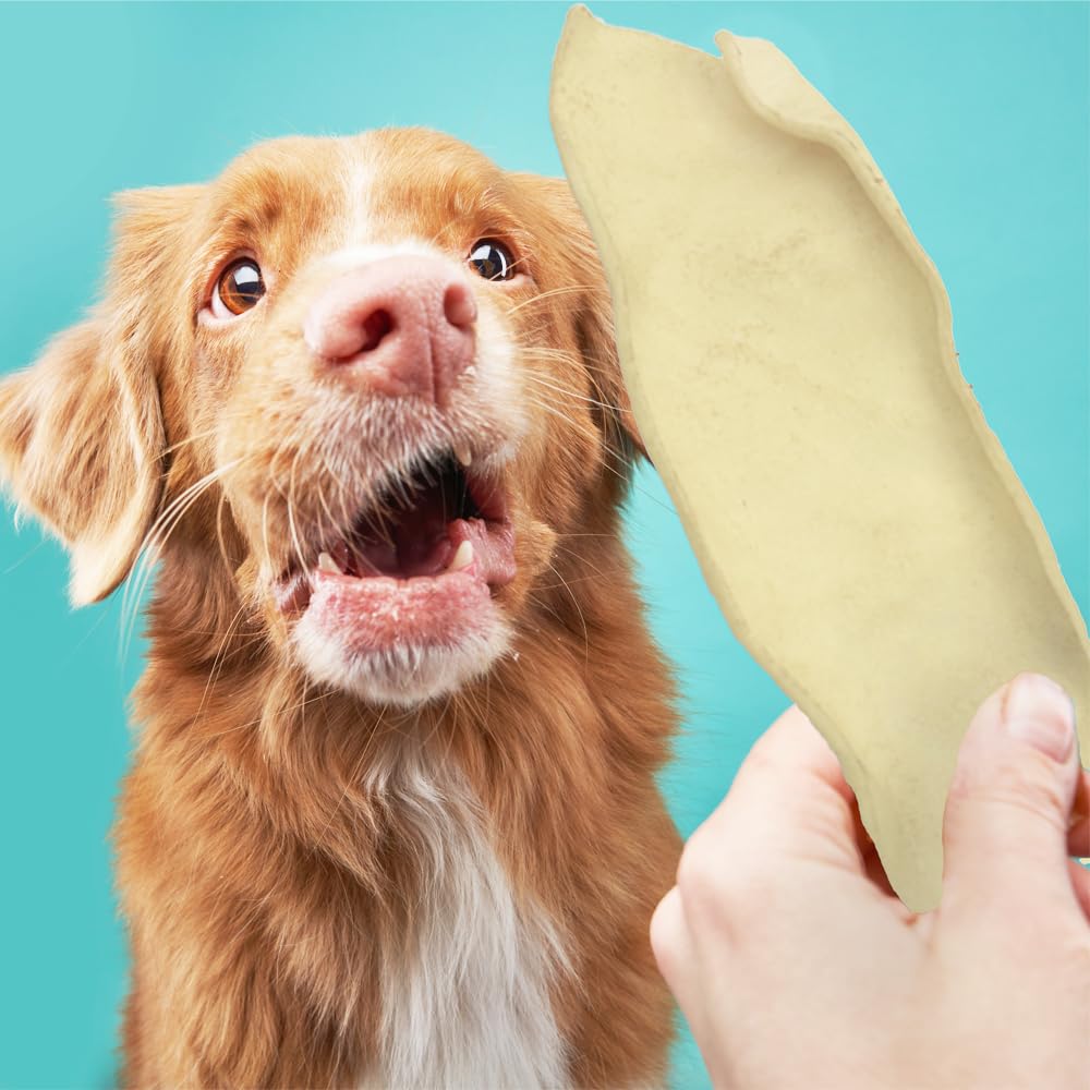 Ora-Clens Oral Hygiene Chews for Large Dogs-Enzymatic Dental Treats for Daily Oral Care, Cleans Teeth and Freshens Breath, Reduc