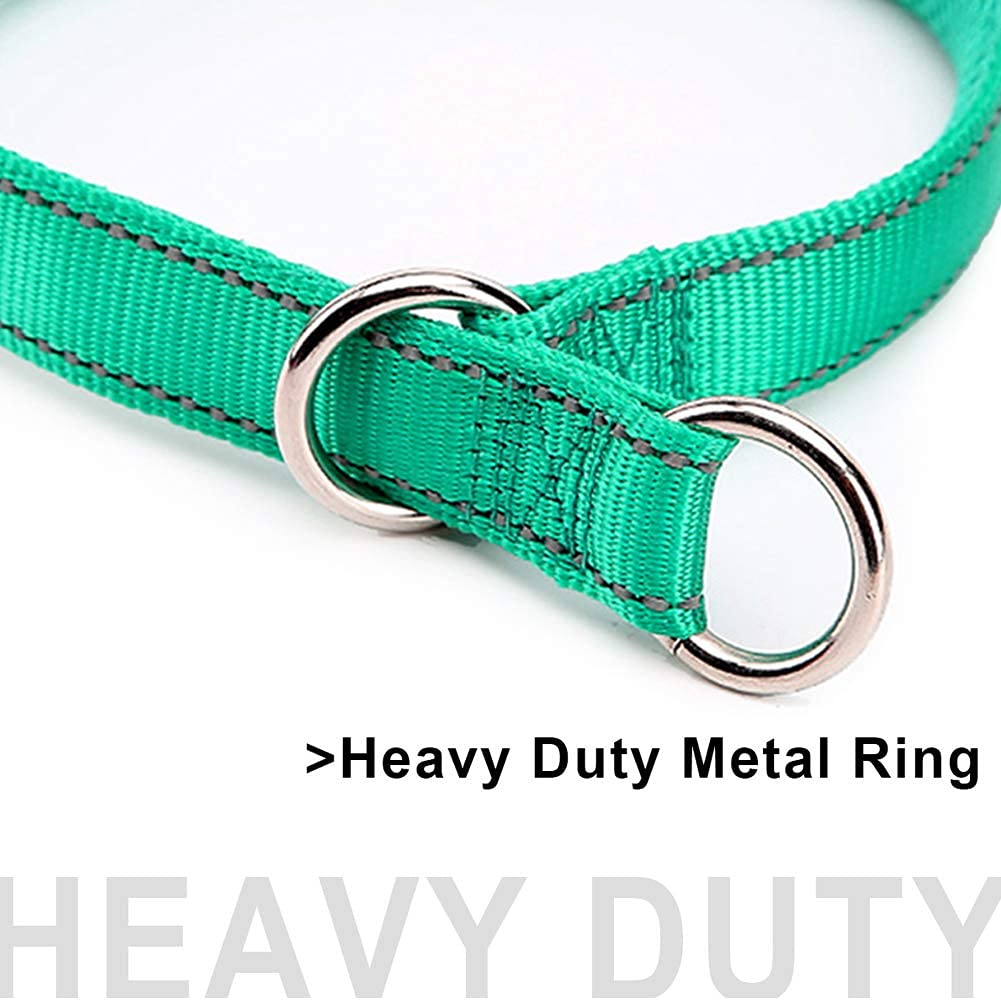 Mycicy Reflective Slip Collar, Soft Nylon Training Choke Collar For Dogs In Turquoise 22', Wide 1'