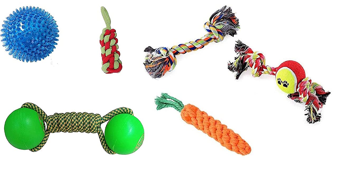 Dog Trust Royal Squeaky Chew Teething Toys For Puppy  Combo Of 6