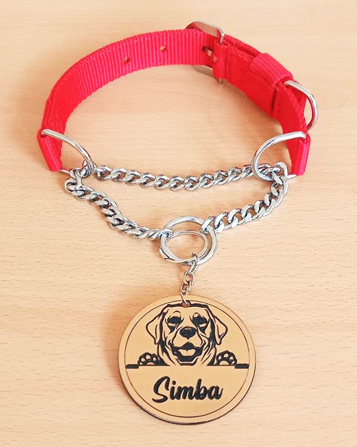 Kraftidy Dog Collar Chain With Name Tag Id Customized For Large Medium Dogs Small Puppies Neck Collar Chain Belt With Personaliz
