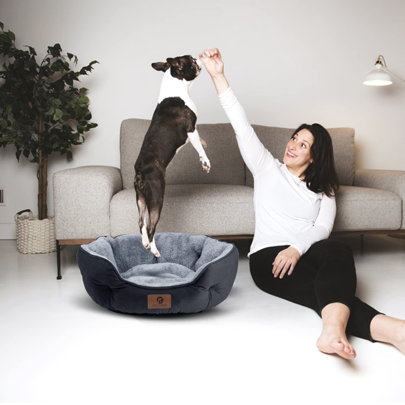 Asvin Small Dog Bed For Small Dogs, Cat Beds For Indoor Cats, Pet Bed For Puppy And Kitty, Extra Soft & Machine Washable With An