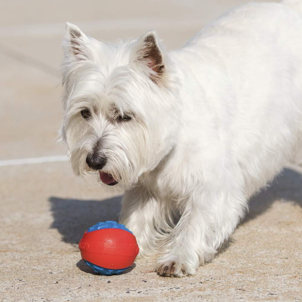 Hero  Outer Armor Ball  Dog Toys  Puppy Toys  Pet Toys  Large, 4 Inches (Blue)