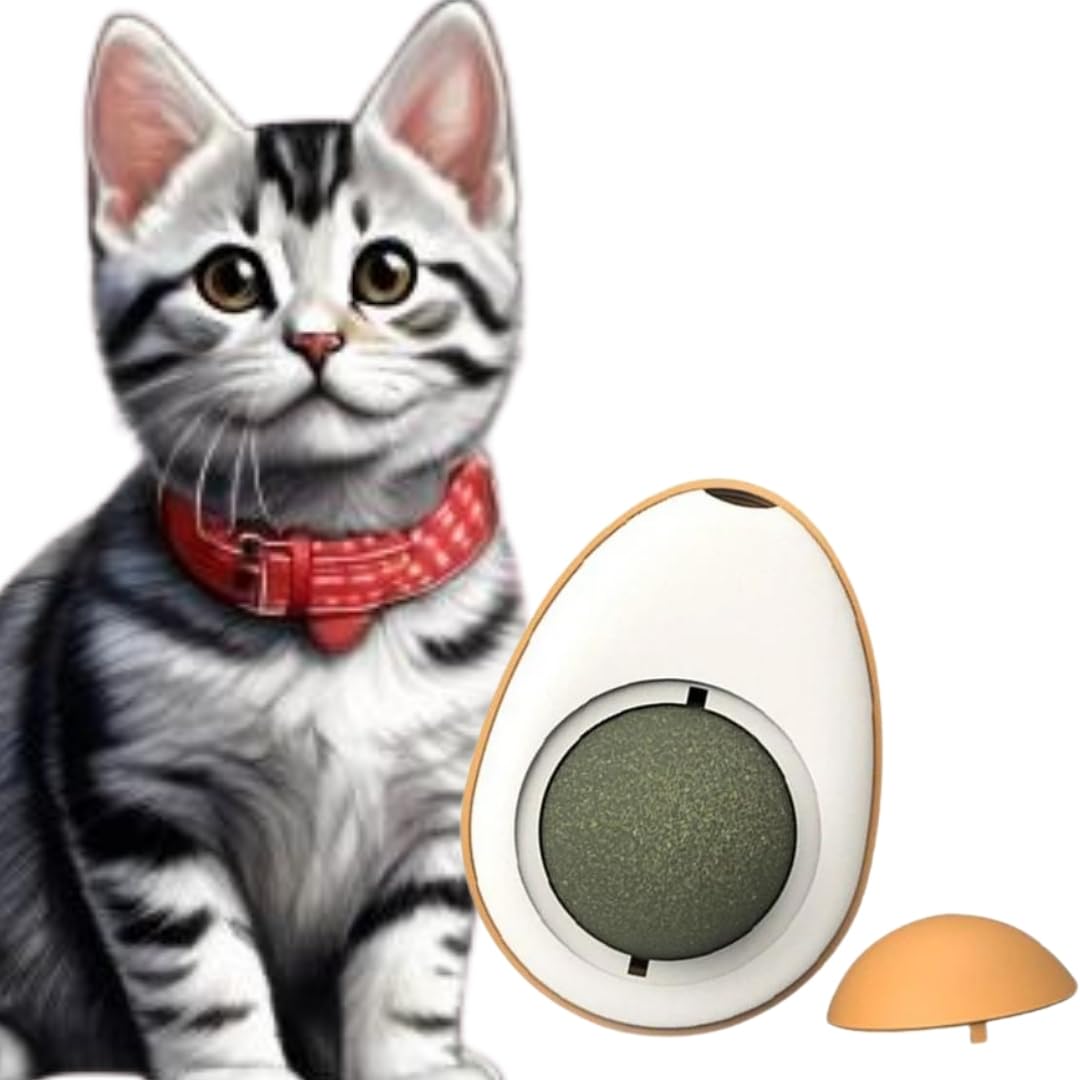 Sage Square Catnip Minty Egg Ball Toy For Cats, Egg Shape Catnip Toy, Funny Kitten Toy, Interactive Cat Toy For Indoor, Cat Mint
