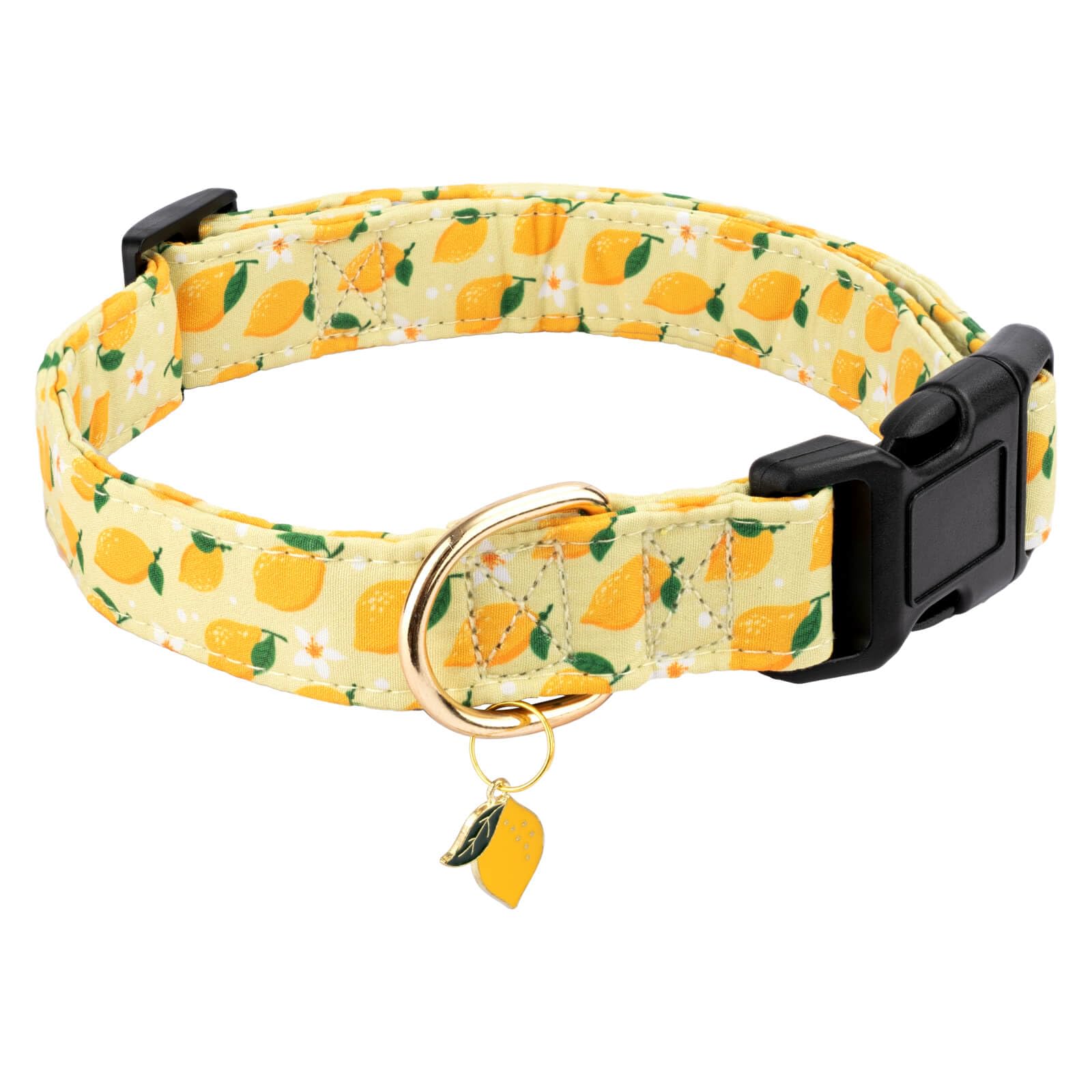 Gelwoo Cotton Dog Collar,Soft and Cute Puppy Collars with Lemon Patterned Design for Girl Female Boy Dogs,Adjustable Buckle Pet 