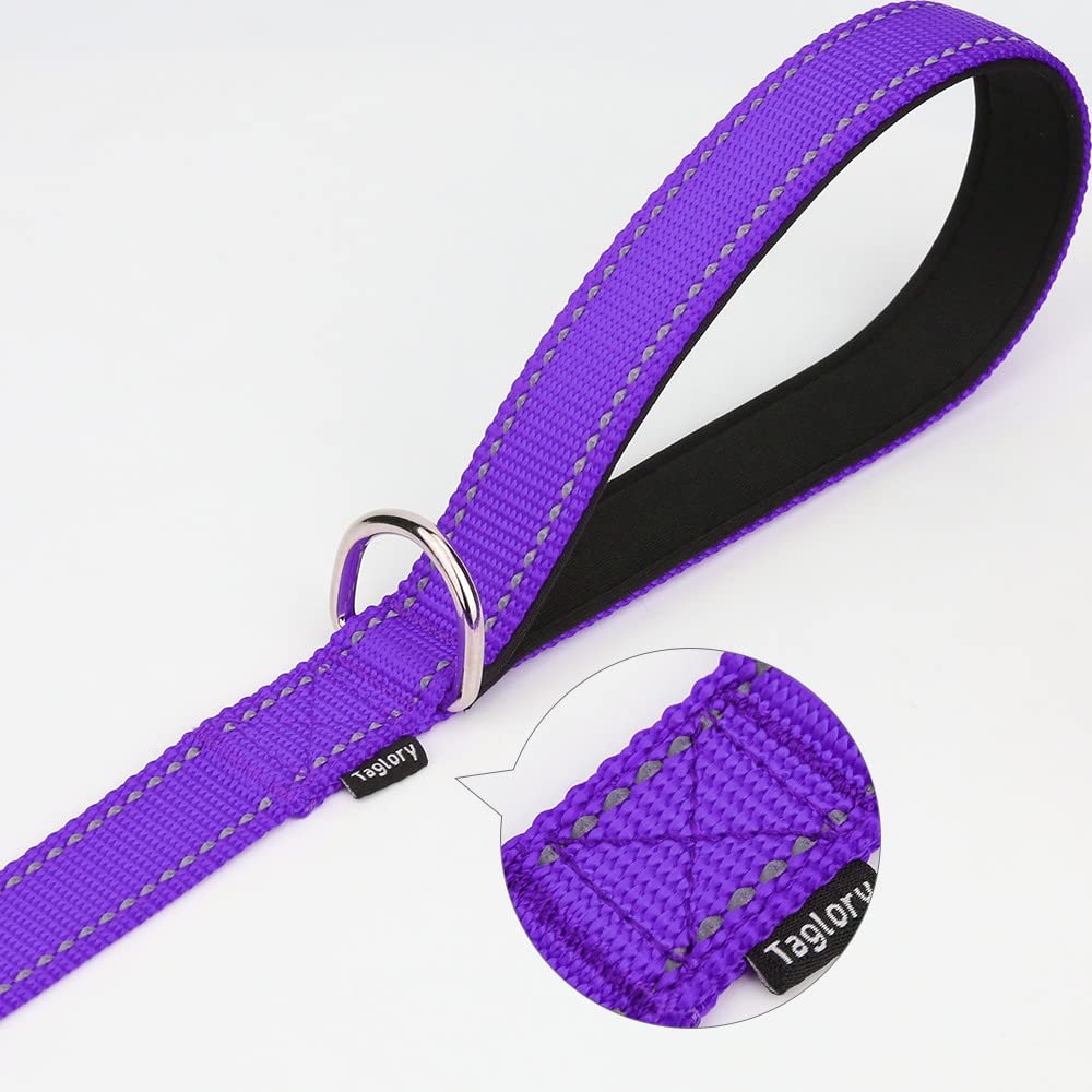 Taglory Double-Sided Reflective Heavy Duty Dog Leash 5Ft,Neoprene Padded Handle And Metal Hook Pet Training Leashes For Small Medium Large Dogs, Purple
