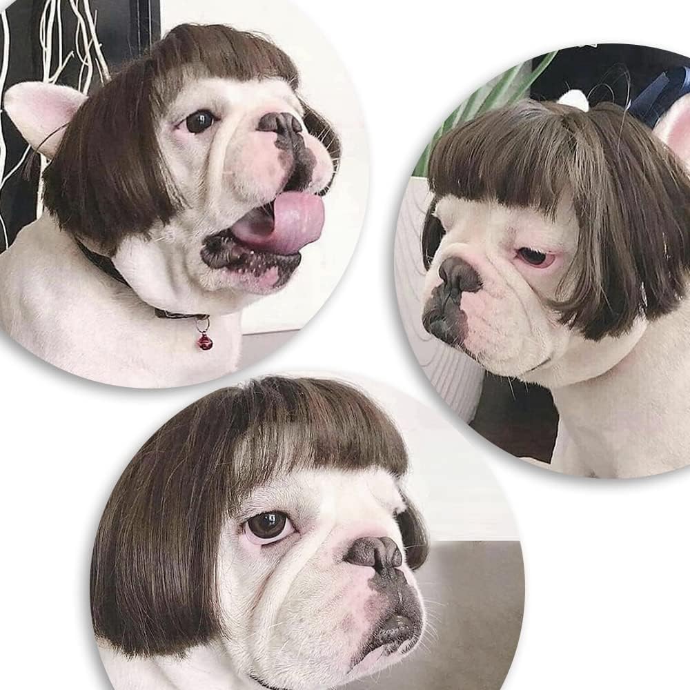 Funny Dog & Cat Cosplay Wigs - Small To Large Sizes, Perfect For Halloween, Christmas, Parties & Festivals