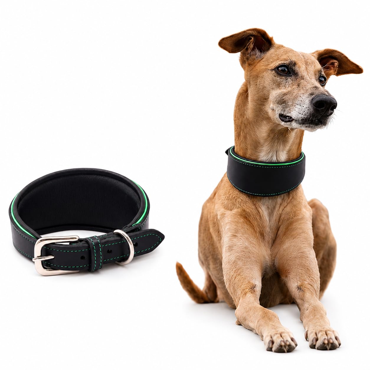 AdilS Leather Dog Collar For Greyhound, Saluki, Whippet Dogs With Green Piping And Soft Padding, Width: 1 Inch, Size S (1013.5
