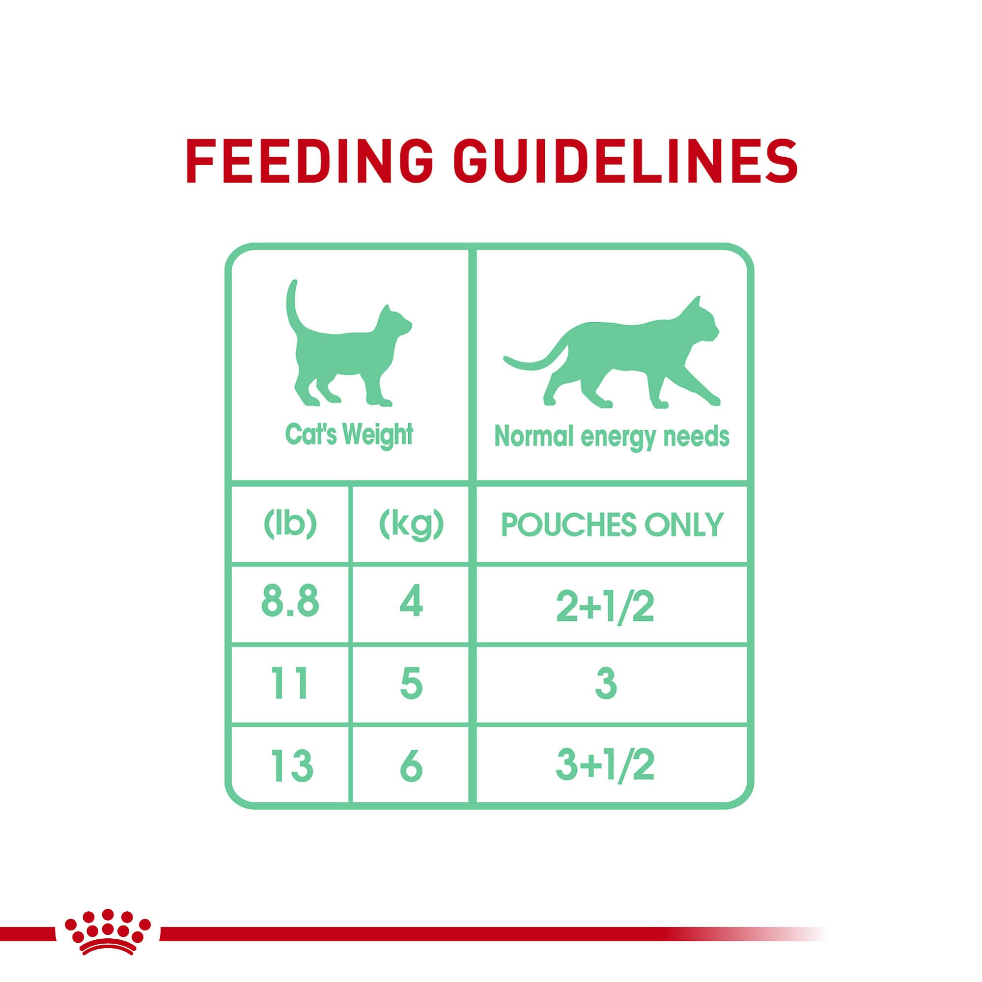 Royal Canin Digestive Care Chunks in Gravy Adult Wet Cat Food, Pouches 3 Oz(Pack of 12), Chicken flavor