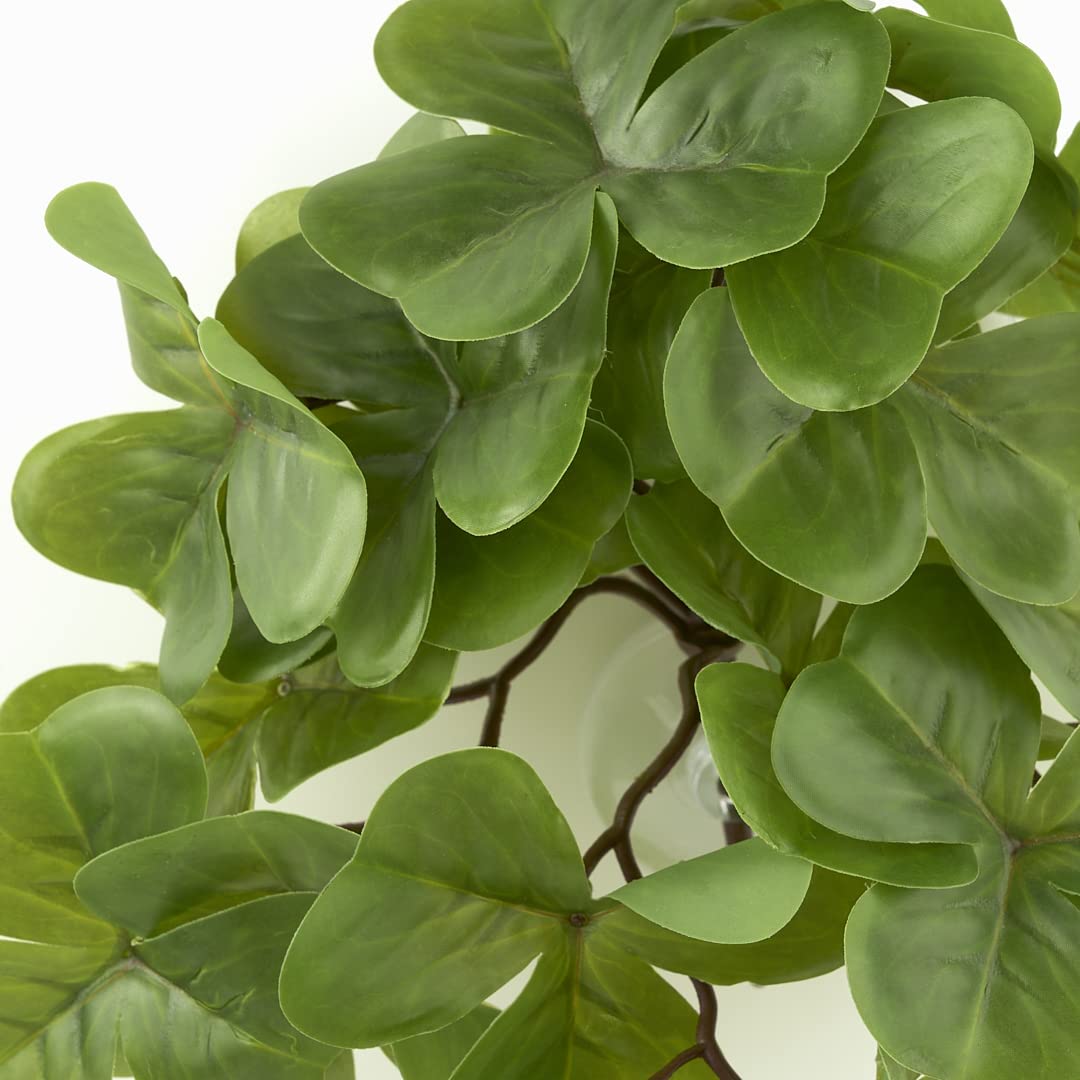 Woledoe Reptile Plants For Terrarium, Amphibian Habitat Decor Artificial Hanging Plants With Suction Cup - Fake Shamrock