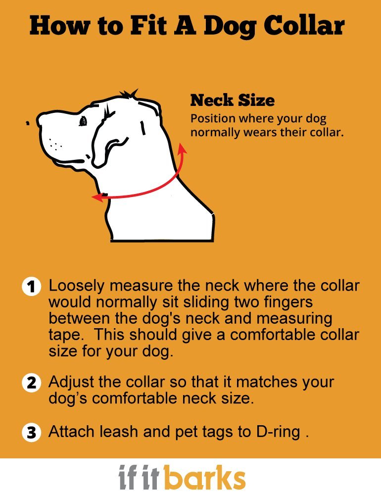 If It Barks Personalized 1 Striped Dog Collar - Engraved Name - Custom Size, Bubble Gum