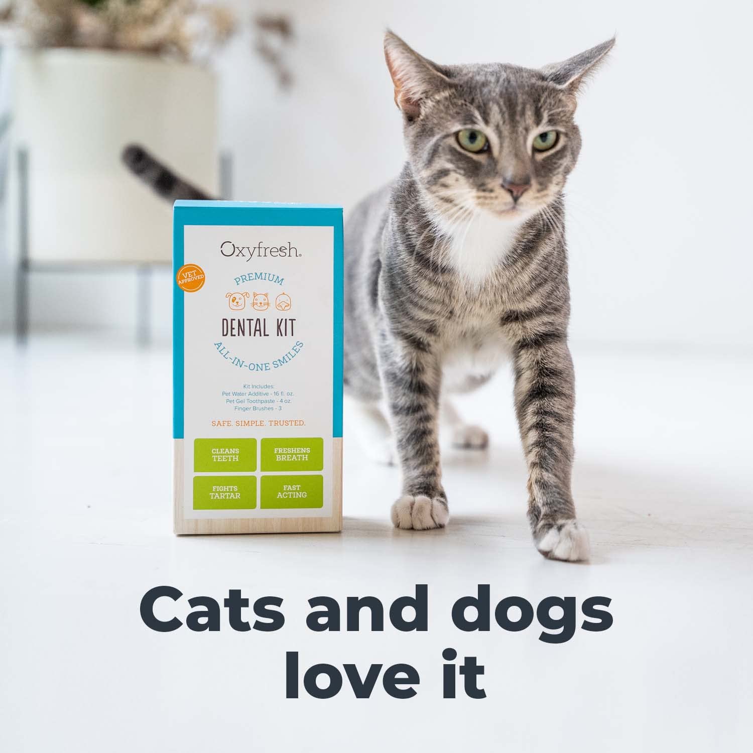 Oxyfresh Premium Pet Dental Kit For Dogs & Cats  Easy Solution For Pet Fresh Breath, Clean Teeth, Control Plaque & Tartar  Vet F