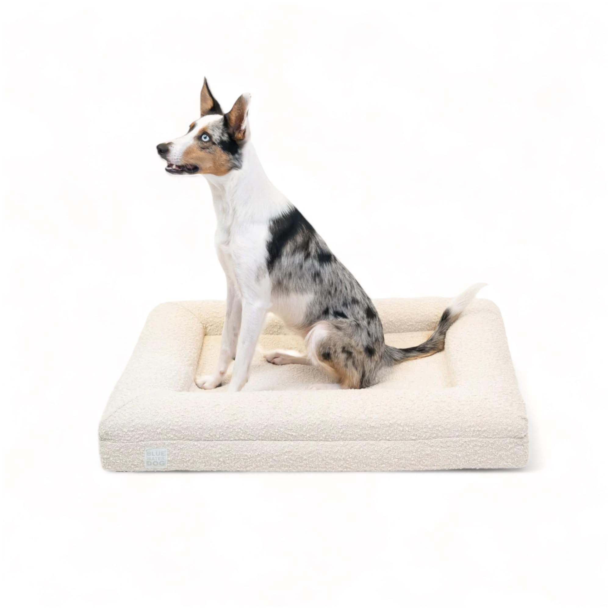 Bluewater Dog Luxury Boucle Orthopedic Memory Foam Dog Bed With Waterproof Liner And Machine Washable Cover With Ykk Zippers (Me