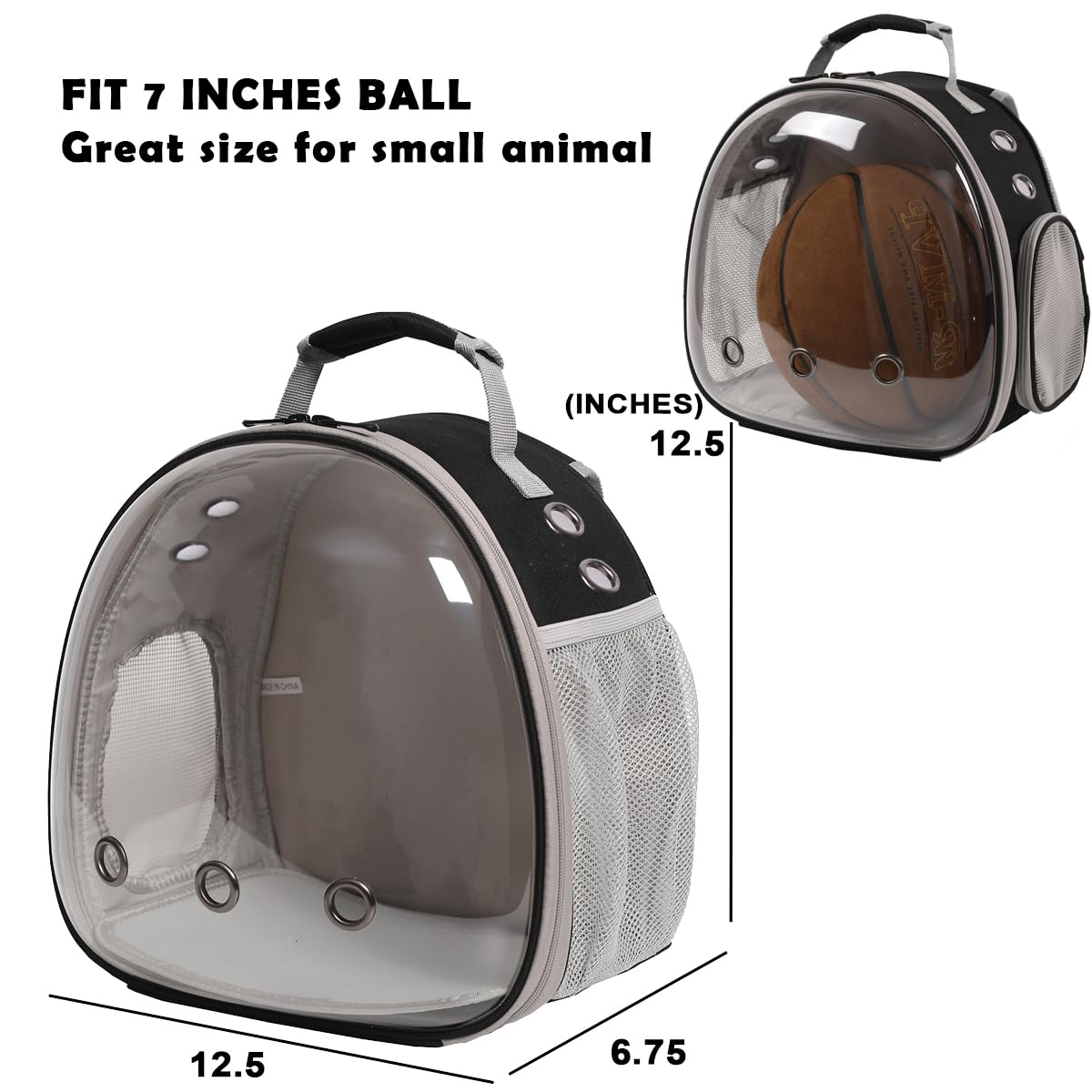 Desert Iguana Backpack Carrier,Bearded Dragon Portable Backpack Carrier With Small Backpack Harness Leash Set,Space Capsule Clea