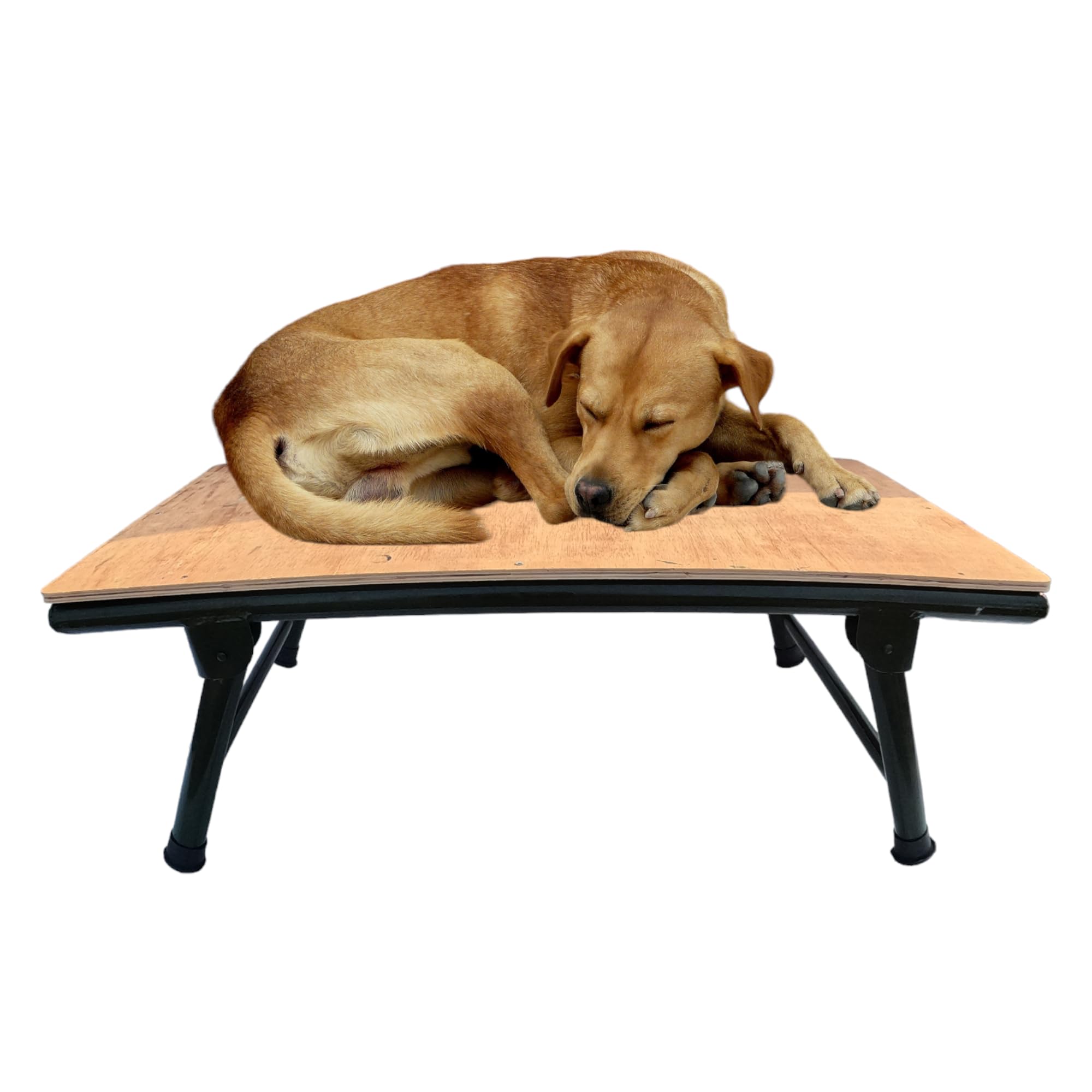 NATTNAK WE TRULY CARES HeavyDuty Multicolor Dog Pet Bed With Plywood & Iron Frame  24X42X12Inch