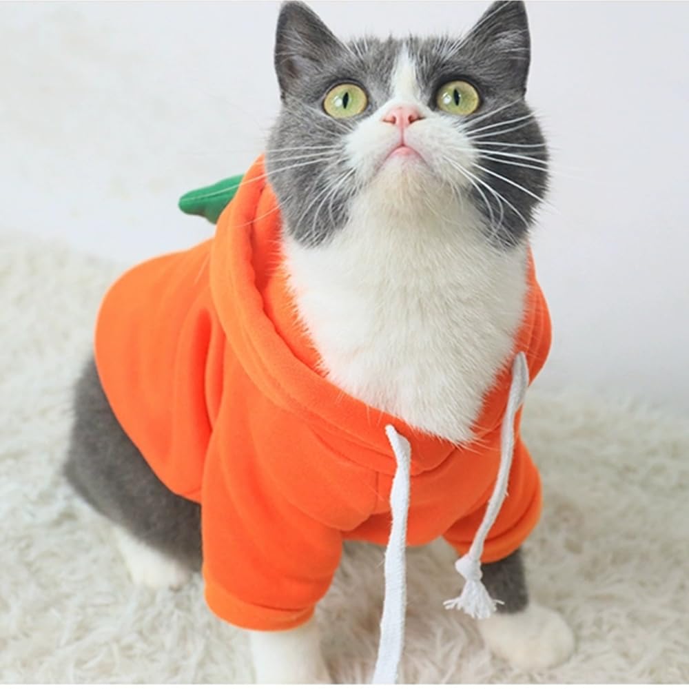 Aniac Funny Pet Clothes For Small Dog Cat Carrot Hoodies Warm Sweatshirt Coat With Fruit Hood Fall Puppy Cat Sweater Halloween E