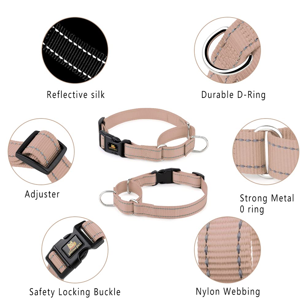 Plutus Pet Reflective Martingale Collar With Buckle - Durable And Adjustable Training Collar For No Pulling, Dog Choker Collar F