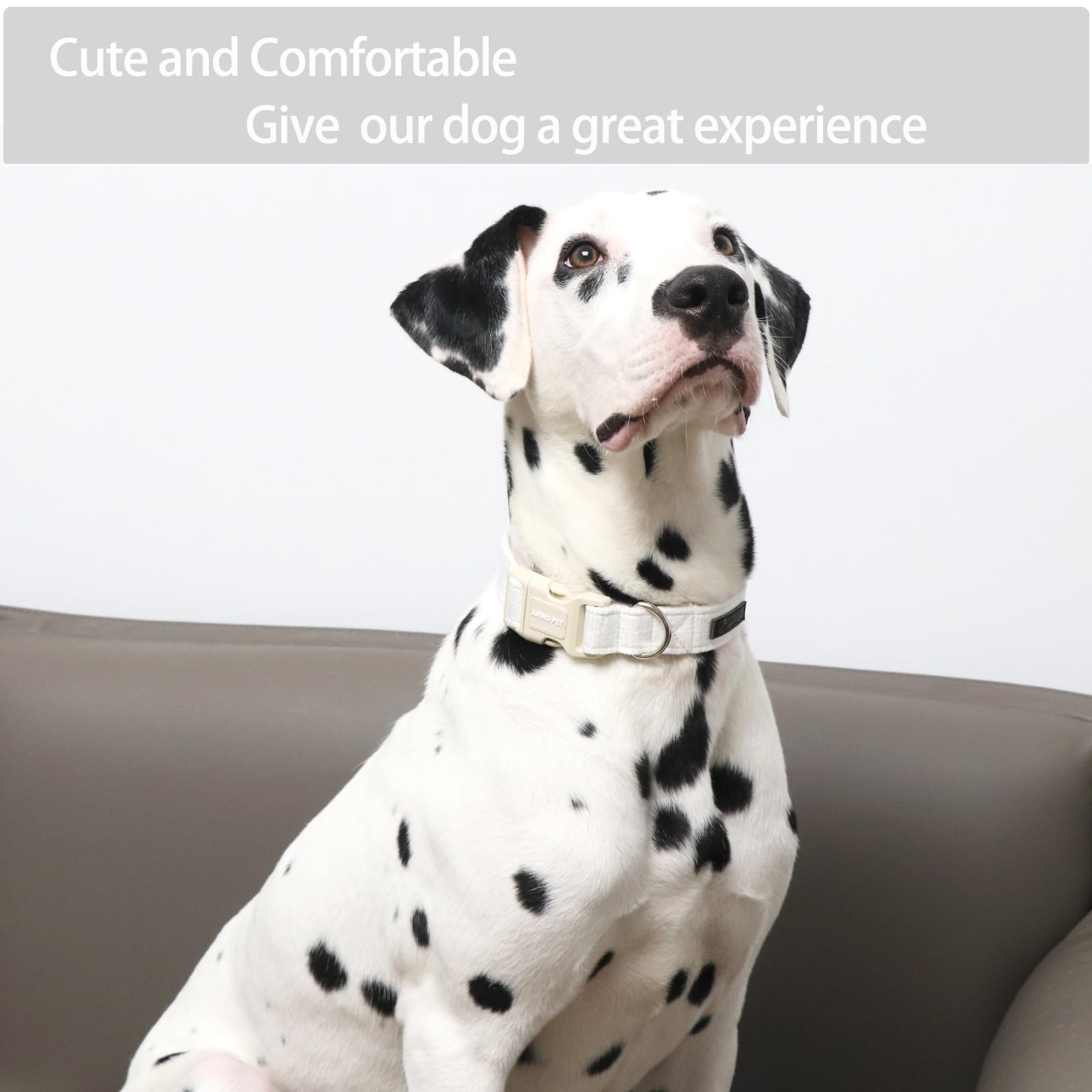 Aring Pet White Dog Collar-Adjustable Small Dog Collars, Lightweight Cotton Wedding Pet Collars With Quick Release Buckle For Sm