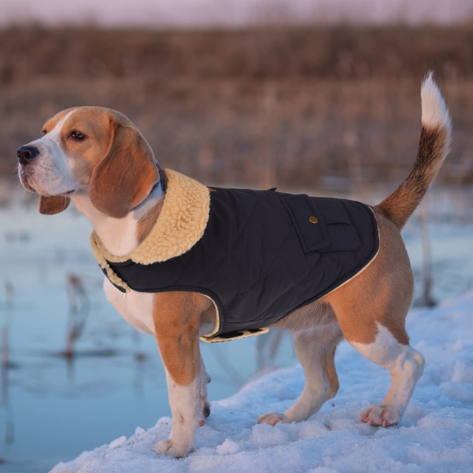 Queenmore Cold Weather Dog Coat, Winter Quilting Dog Jacket Ultra Warm Thick Plush Lining With Storage Pockets (Green, Small)