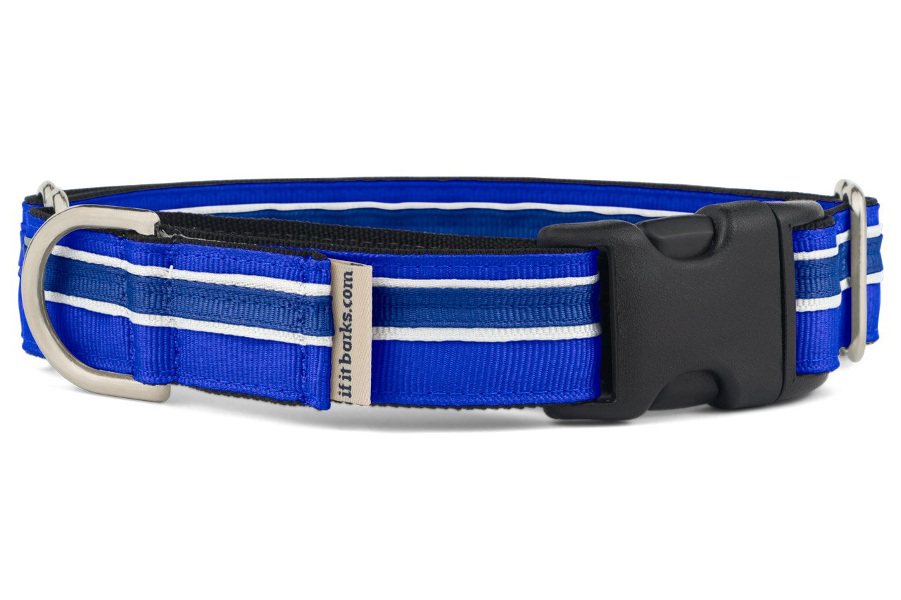 If It Barks 1 Martingale Collar With Quick Snap Release Buckle, Adjustable, Usa Made, Small, Blueberry