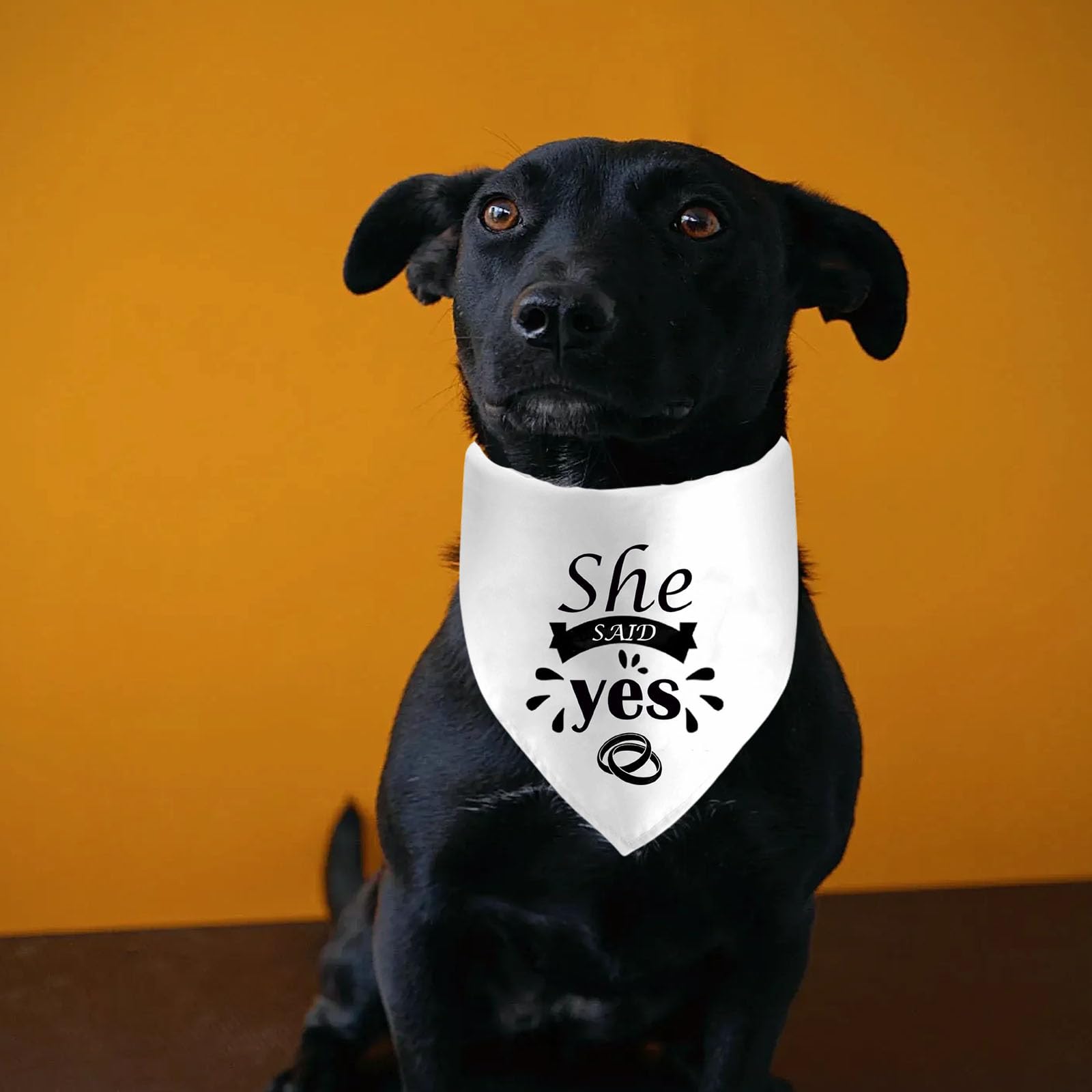 She Said Yes Dog Bandanas, Wedding Dog Scarf, Engagement Announcement Pet Scarf Accessories, Adjustable Dog Bandanas For Small M