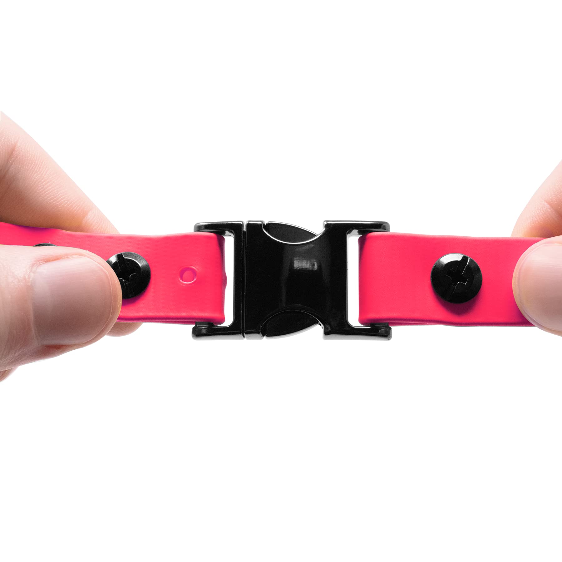 Educator Quick Snap Bungee Dog Collar, Biothane, Waterproof, Odorproof, Easy Connect And Disconnect Clasp And D Ring With Comfort Bungee Loop, Adjustable For Custom Fit, 3/4-Inch, Pink
