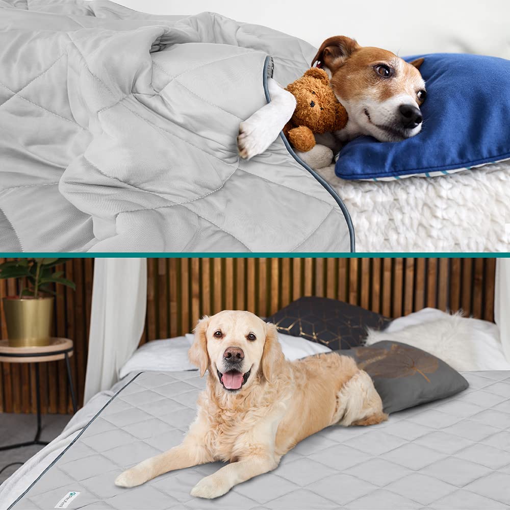 Petami Premium Cooling Dog Blanket | Lightweight Fluffy Pet Throw Blanket Bed Cover For Dogs, Cat, Puppies | Pet Blanket Furniture Protector Couch Sofa | Reversible Fuzzy Cozy | 40X60, Light Grey