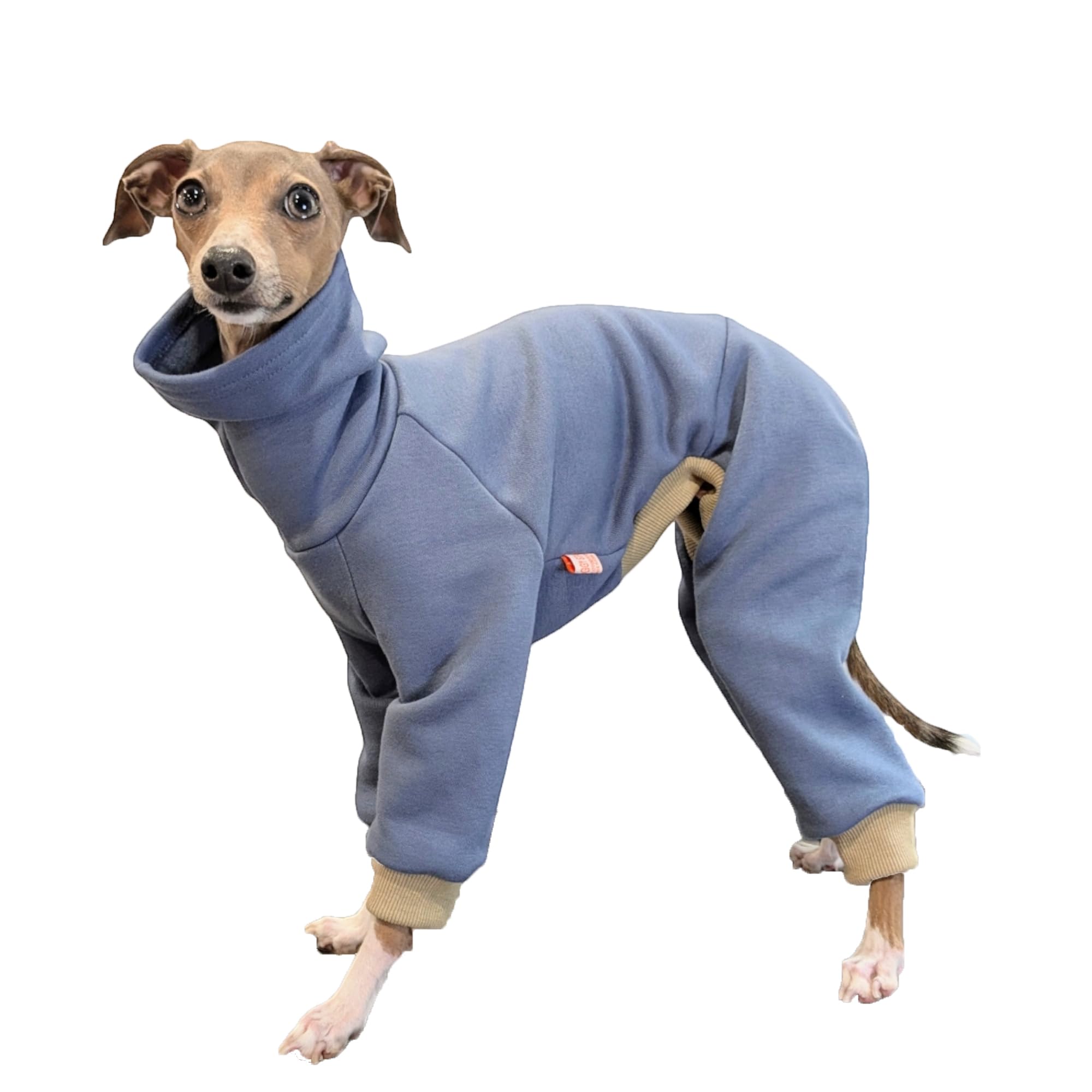 D Doggy Star Italian Greyhound Clothes Strechy Fleeced Lining Simple Onesie Whippet For Dog Coat (Xl,Simple Blue)